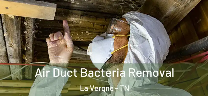  Air Duct Bacteria Removal La Vergne - TN
