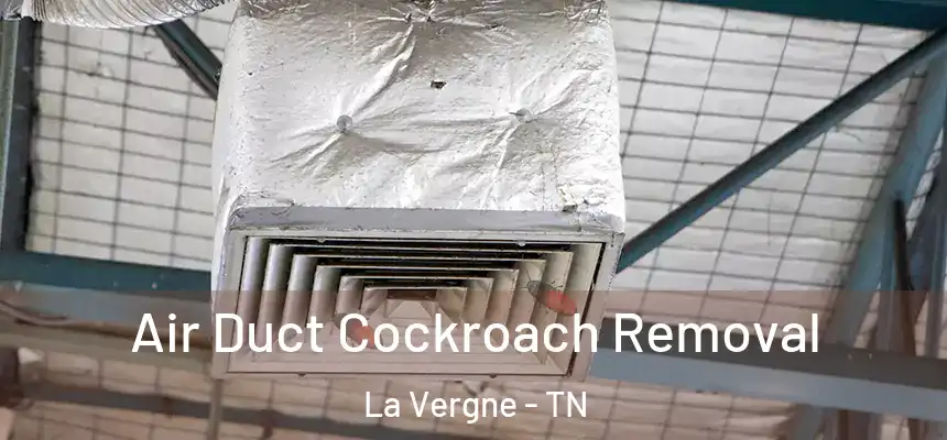  Air Duct Cockroach Removal La Vergne - TN