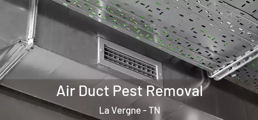  Air Duct Pest Removal La Vergne - TN