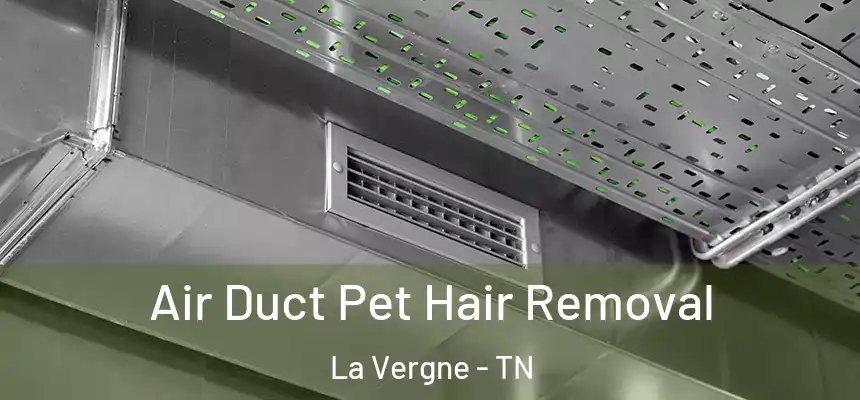 Air Duct Pet Hair Removal La Vergne - TN