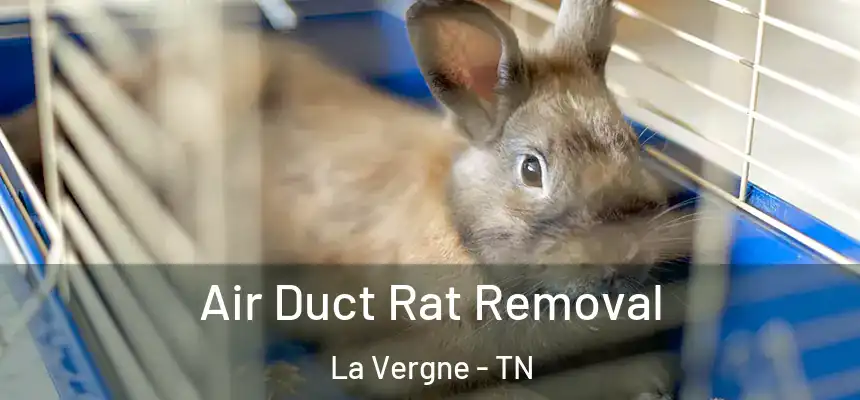  Air Duct Rat Removal La Vergne - TN