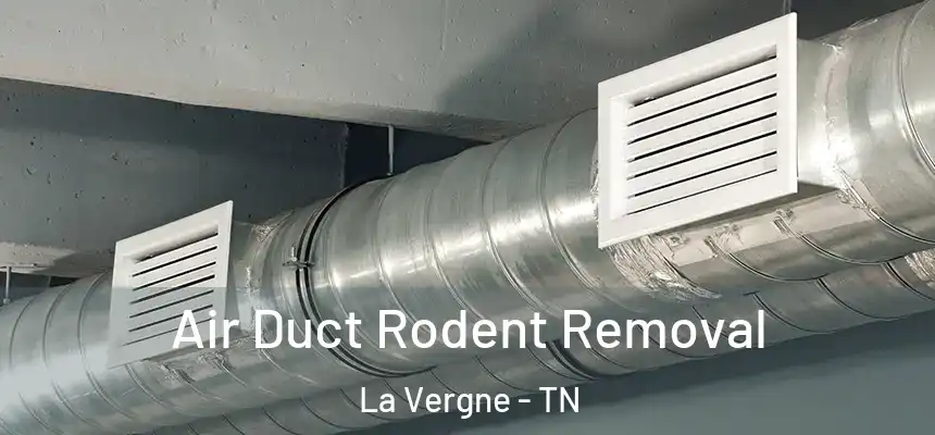 Air Duct Rodent Removal La Vergne - TN