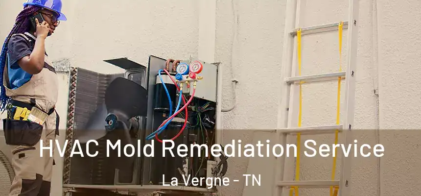 HVAC Mold Remediation Service La Vergne - TN