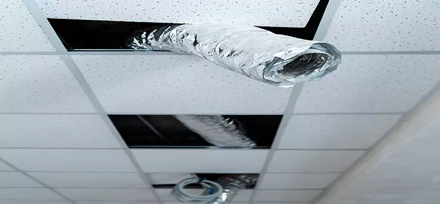 Our Air Duct Pet Hair Removal Services in La Vergne, TN