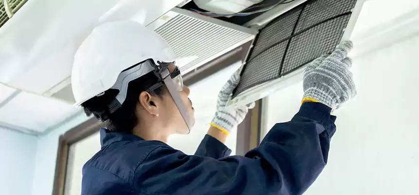 Our Mold & Mildew Removal from Air Ducts Services in La Vergne, TN