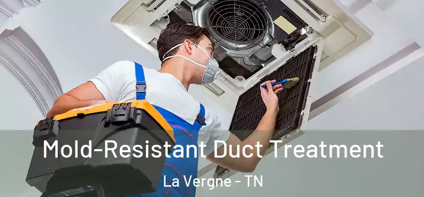  Mold-Resistant Duct Treatment La Vergne - TN