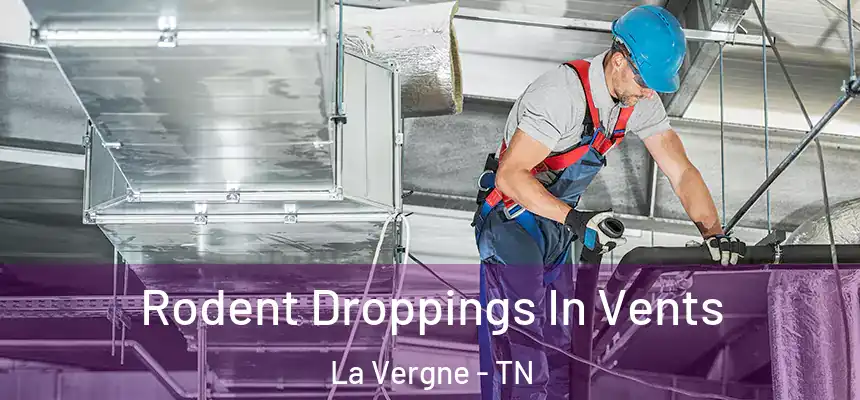  Rodent Droppings In Vents La Vergne - TN