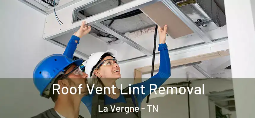 Roof Vent Lint Removal La Vergne - TN