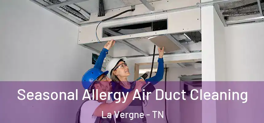 Seasonal Allergy Air Duct Cleaning La Vergne - TN