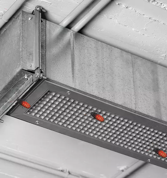 About Air Duct Cockroach Removal in La Vergne, TN