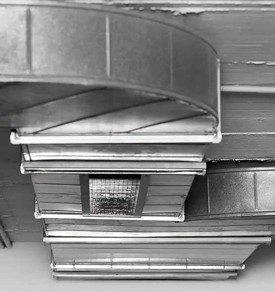 Professional Air Duct Pet Hair Removal in La Vergne, TN