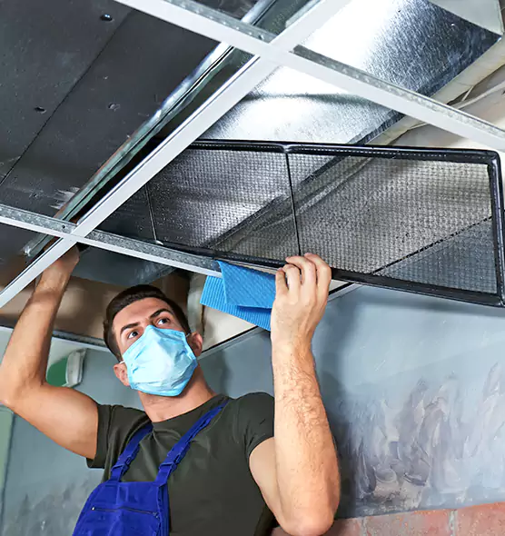 Professional Air Duct Pollen Cleaning in La Vergne, TN