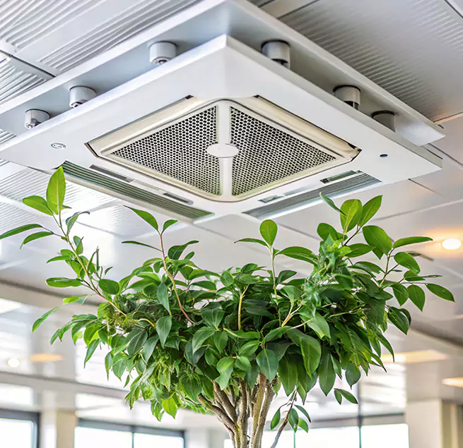 Why Homeowners & Businesses Trust Us in La Vergne, TN?